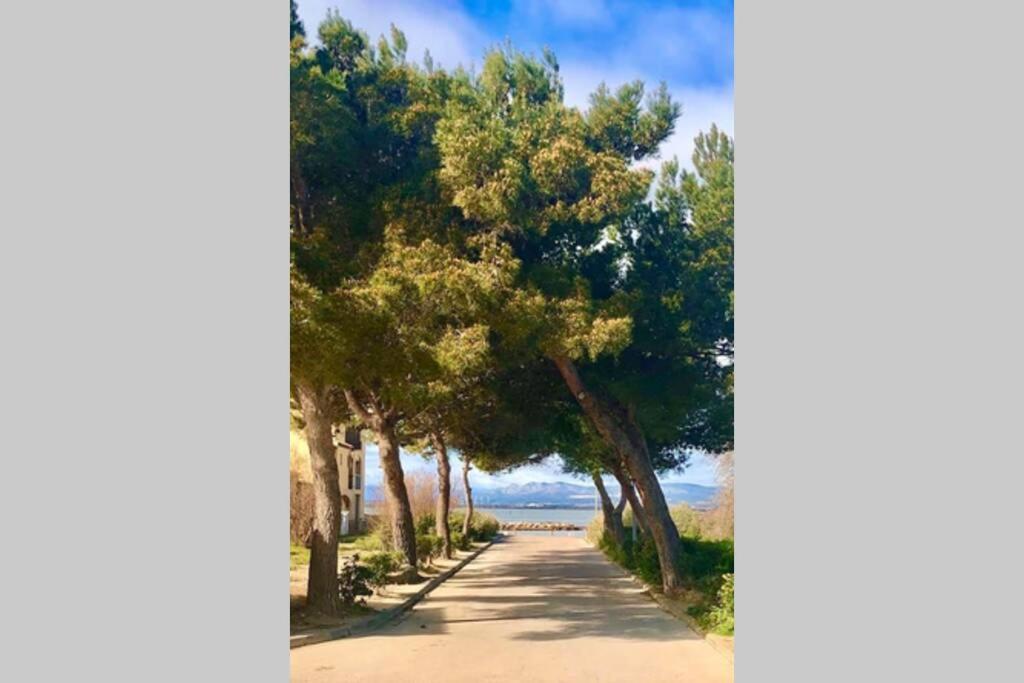 Barcaresa-Villa Sur Le Sable Vue Mer Panoramique Piscine Clim Wifi Le Barcarès Eksteriør bilde
